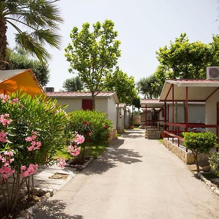 Villaggio Albergo Cervo Zapponeta Exterior photo