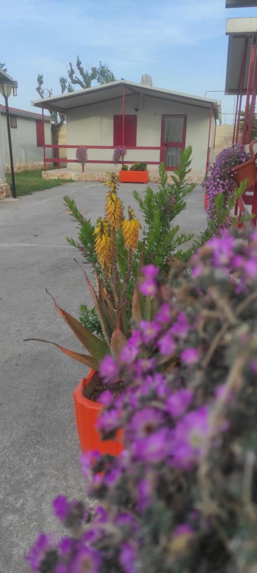 Villaggio Albergo Cervo Zapponeta Exterior photo