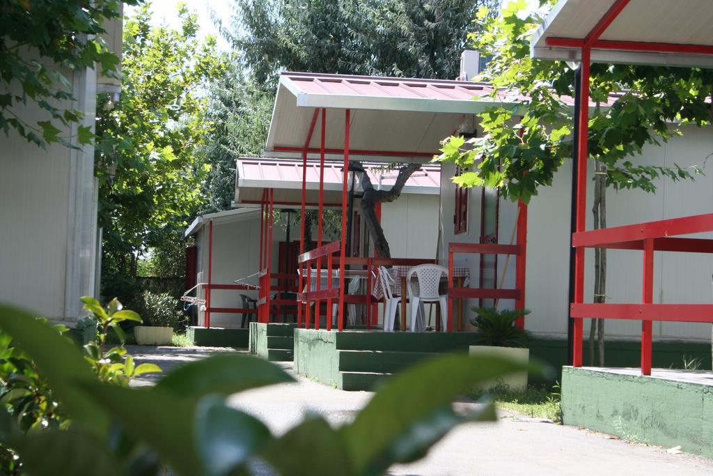 Villaggio Albergo Cervo Zapponeta Exterior photo