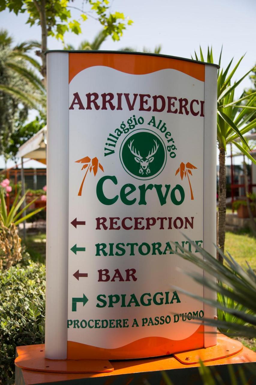 Villaggio Albergo Cervo Zapponeta Exterior photo